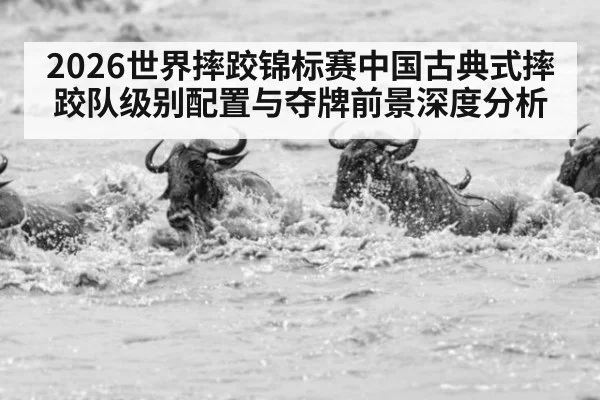 2026世界摔跤锦标赛中国古典式摔跤队级别配置与夺牌前景深度分析